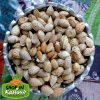 Kashmiri Almond (shelled)