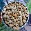 Kashmiri Almond (shelled) - Image 3